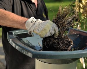 Измельчитель травы: новое слово в садоводстве и огородничестве