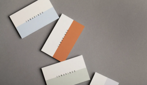 Визитки с доставкой: как быстро получить профессиональный имидж